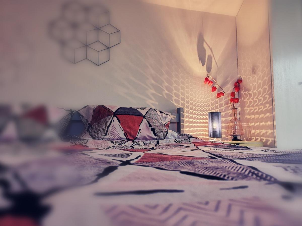 Dragonfly Studio With Garden Brasov Exterior photo